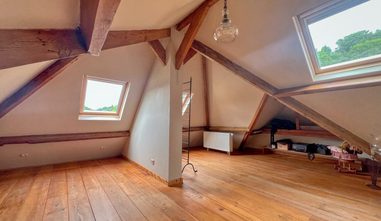 1fe1dd8f-ac32-4dc3-a2ce-61a95eb801aa